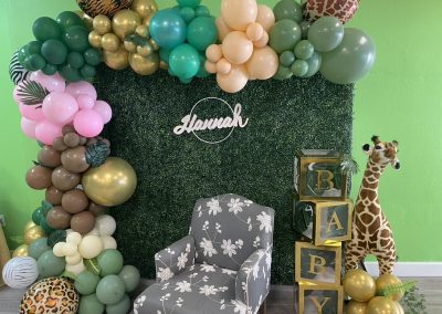 Event Decor – Baby Shower – (Hannah)