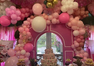 Birthday Party Decor (Pink)